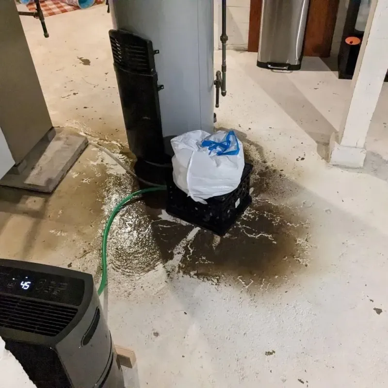 Sewage Backup Cleanup Service in Lemhi County, ID